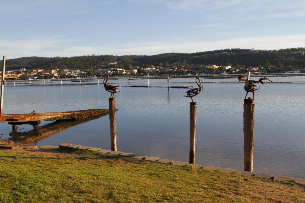 Sails Luxury Apartments Merimbula Eksteriør billede
